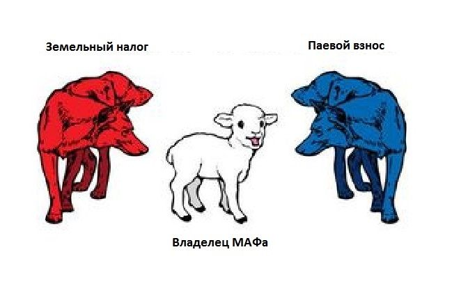 Двойное налогообложение владельцев МАФов