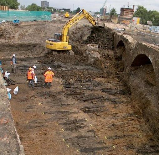 Кости моржа найдены на раскопках в Лондоне