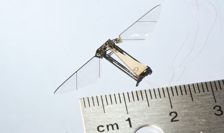 Робопчела RoboBee