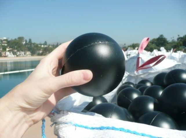 Shade Ball держат в руке 