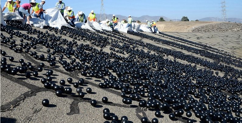Shade Balls на набережной Лос-Анджелеса