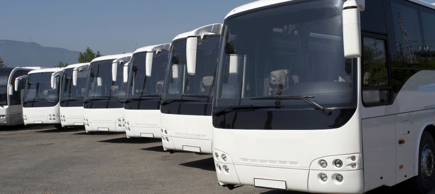 Автобусы